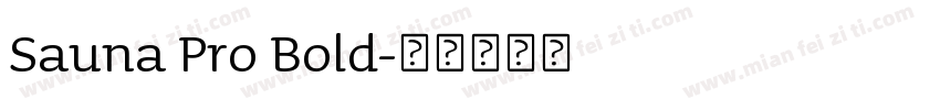 Sauna Pro Bold字体转换